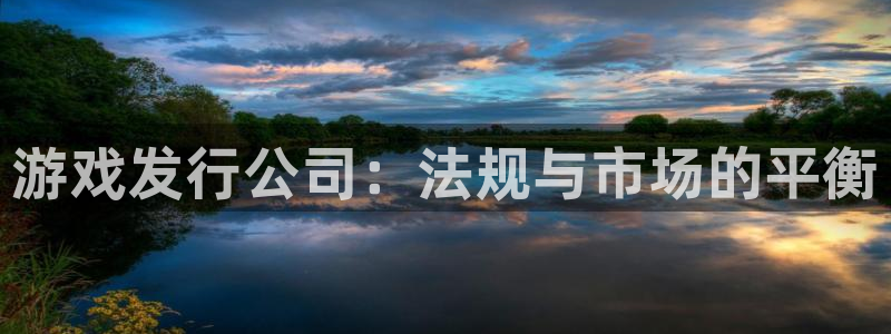ag街机官网注册方法：游戏发行公司：法规与市场的平衡