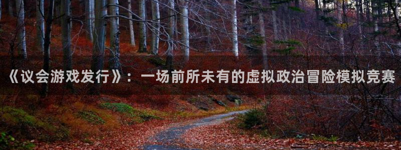 陕西ag街机子文化创意有限公司是做什么的：《议会游戏发行》：一场前所未有的虚拟政治冒险模拟竞赛