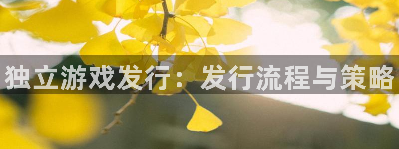ag街机官网的奇趣腾讯是真的吗知乎：独立游戏发行：发行流程与策略
