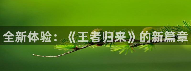 ag街机官网登录注册账号失败：全新体验：《王者归来》的新篇章