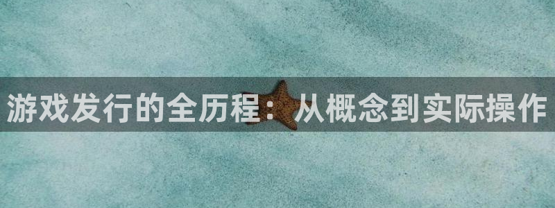 ag街机官网注册地址查询：游戏发行的全历程：从概念到实际操作