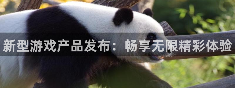 ag街机子图书：新型游戏产品发布：畅享无限精彩体验