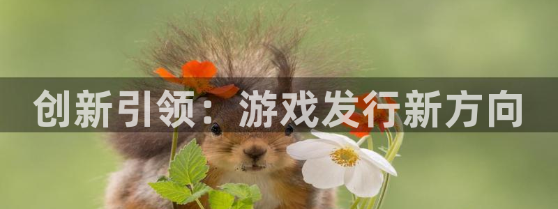 ag街机官网平台是骗局吗：创新引领：游戏发行新方向
