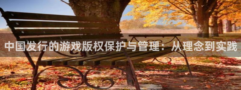 ag街机娱乐测速官网：中国发行的游戏版权保护与管理：从理念到实践