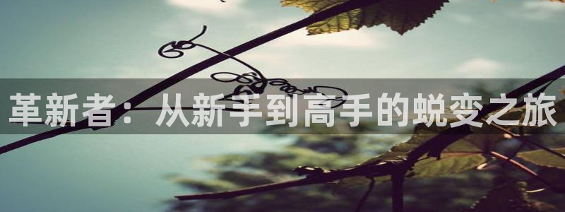 ag街机官网注册平台是什么软件：革新者：从新手到高手的蜕变之旅