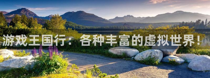 广东ag街机电子商务有限公司