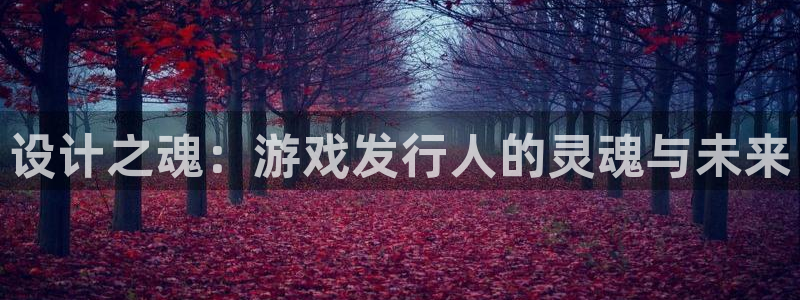 ag街机官网登录注册：设计之魂：游戏发行人的灵魂与未来