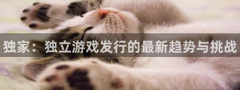 ag街机运动装有哪些品牌：独家：独立游戏发行的最新趋势与挑战